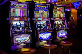 Pengalaman menyeluruh layanan sports betting dan live casino di hal777